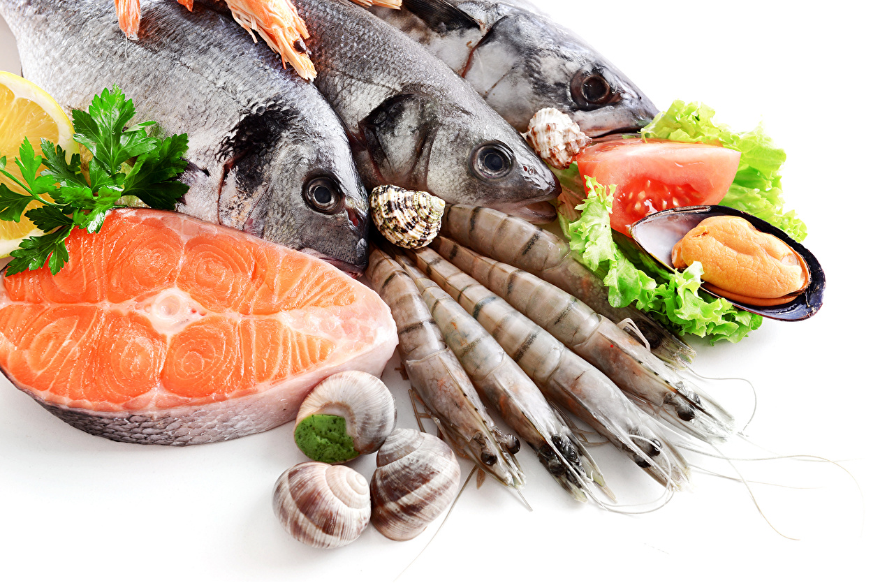 Seafoods Fish Food 484172